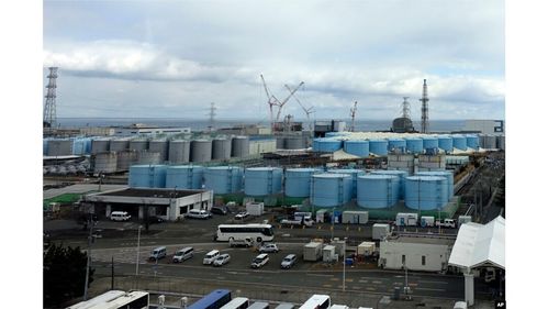 越鬧越大 江蘇鼎味泰與日本開發核污水產品,山姆 盒馬還能吃