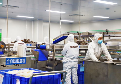 提質擴能 廣元利州推動食品飲料產業闊步發展